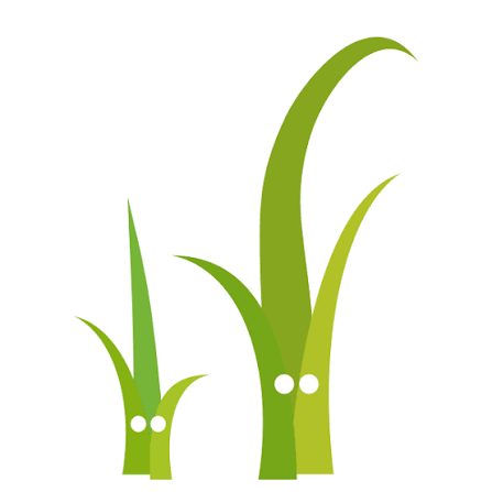 Use Twig as template engine